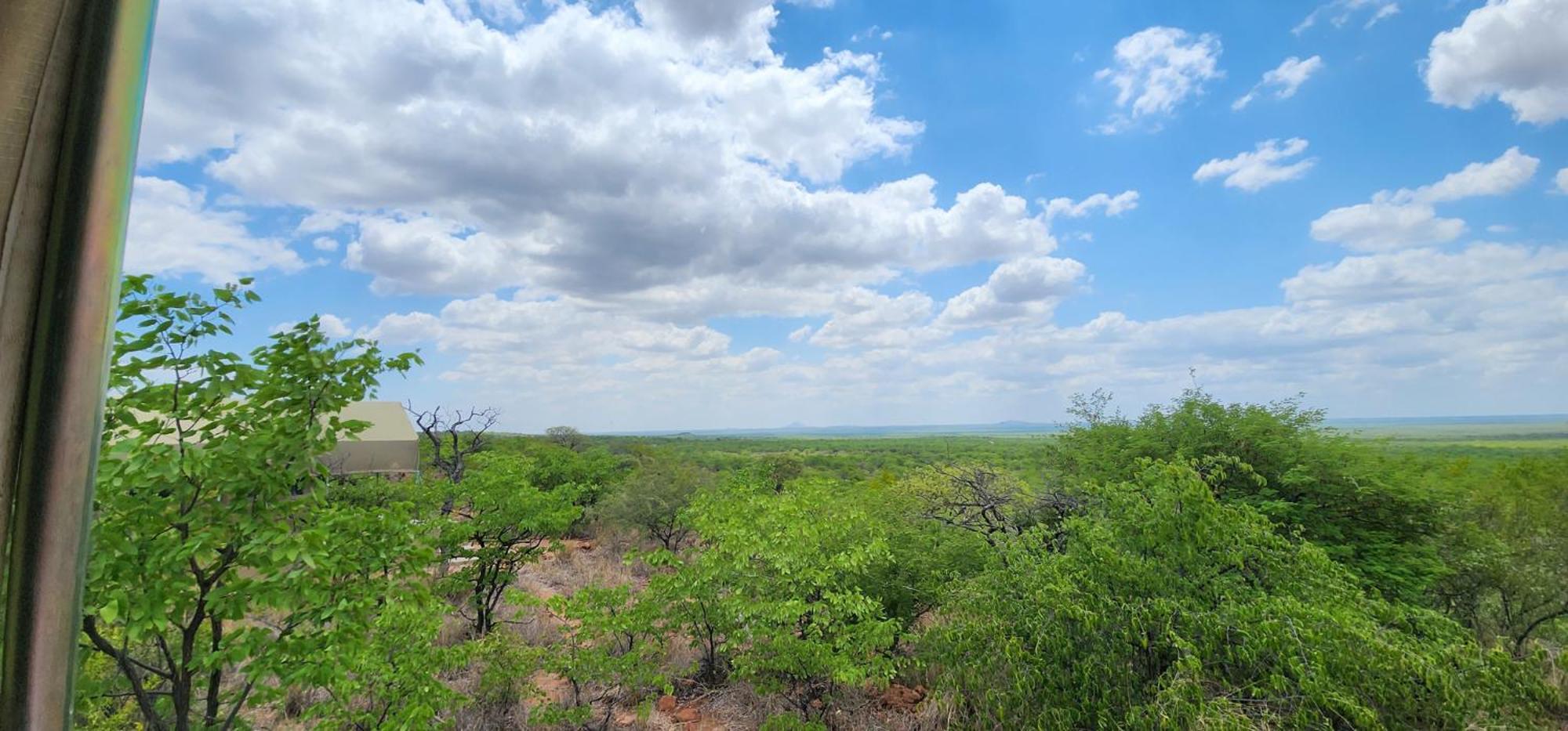 Mopane Bush Lodge Linton Екстер'єр фото