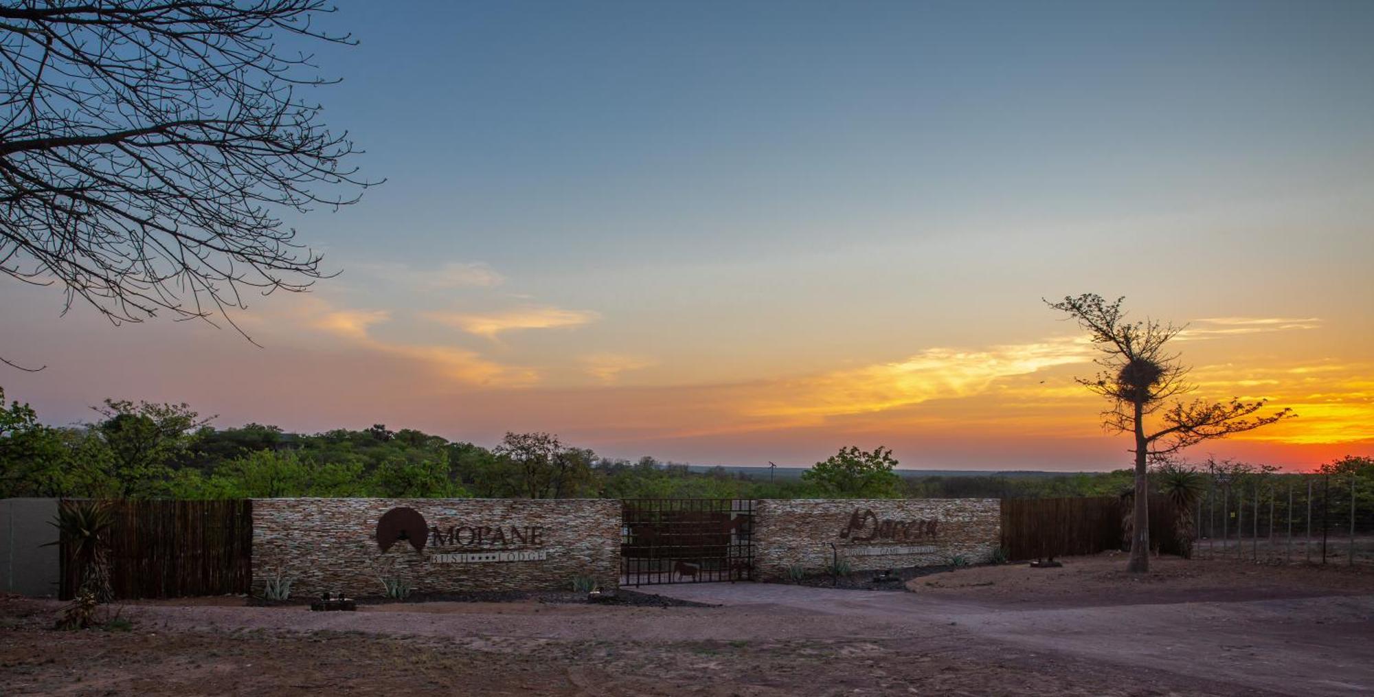 Mopane Bush Lodge Linton Екстер'єр фото