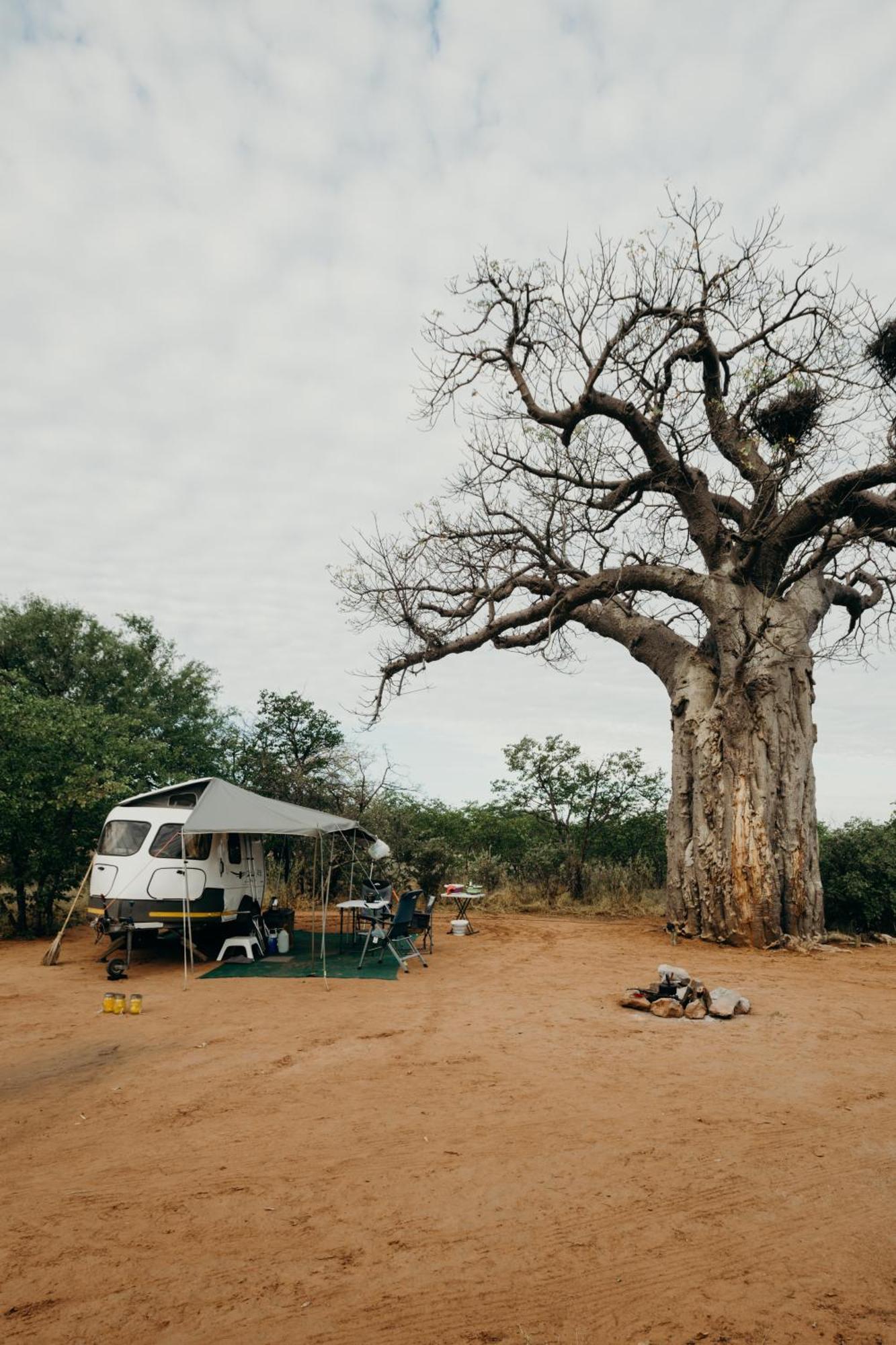 Mopane Bush Lodge Linton Екстер'єр фото